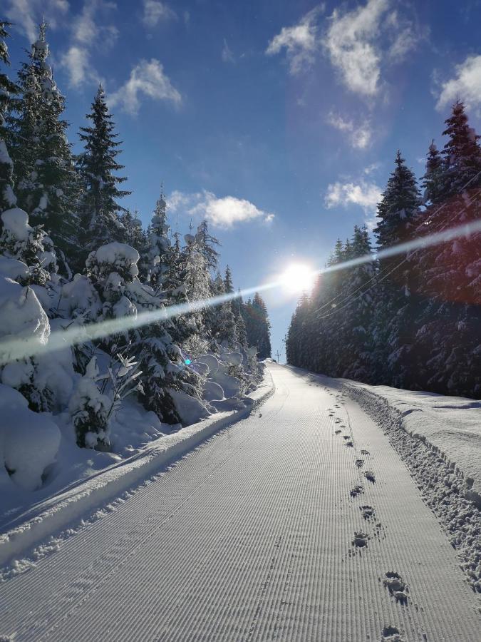 Landhaus St. Georg Sankt Martin am Tennengebirge Eksteriør billede